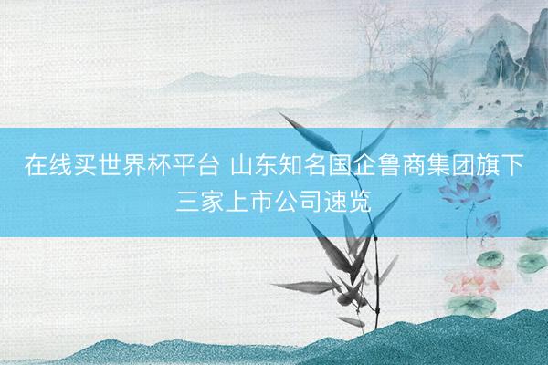 在线买世界杯平台 山东知名国企鲁商集团旗下三家上市公司速览