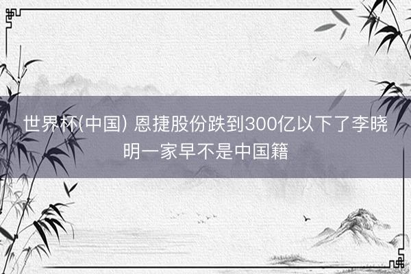 世界杯(中国) 恩捷股份跌到300亿以下了李晓明一家早不是中国籍